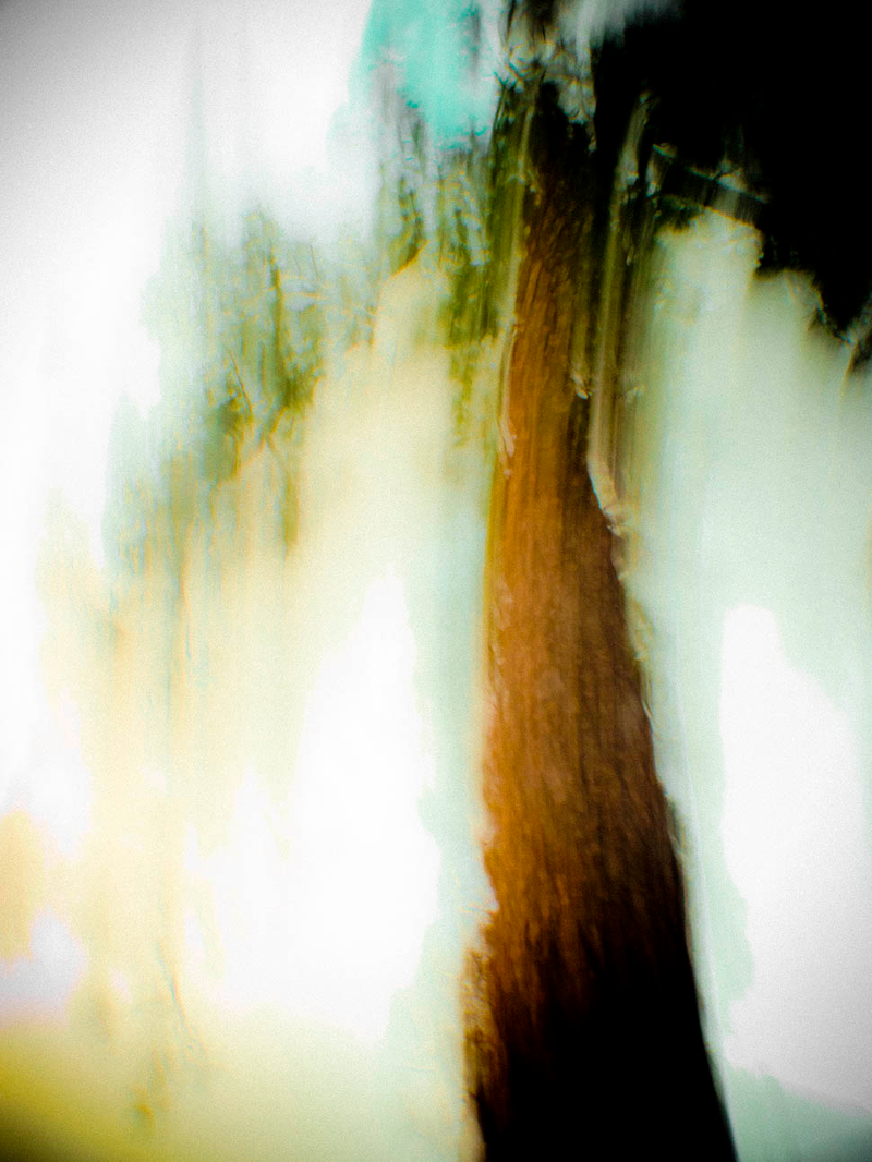Illustration for article titled 71 Failed Photographs...That Turned Out Incredible